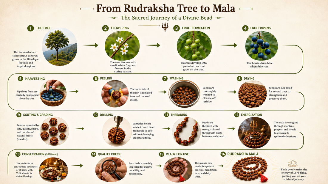 How Authentic Rudraksha Malas Are Crafted