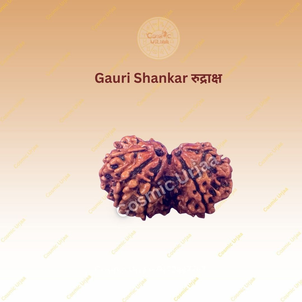 Gauri Shankar