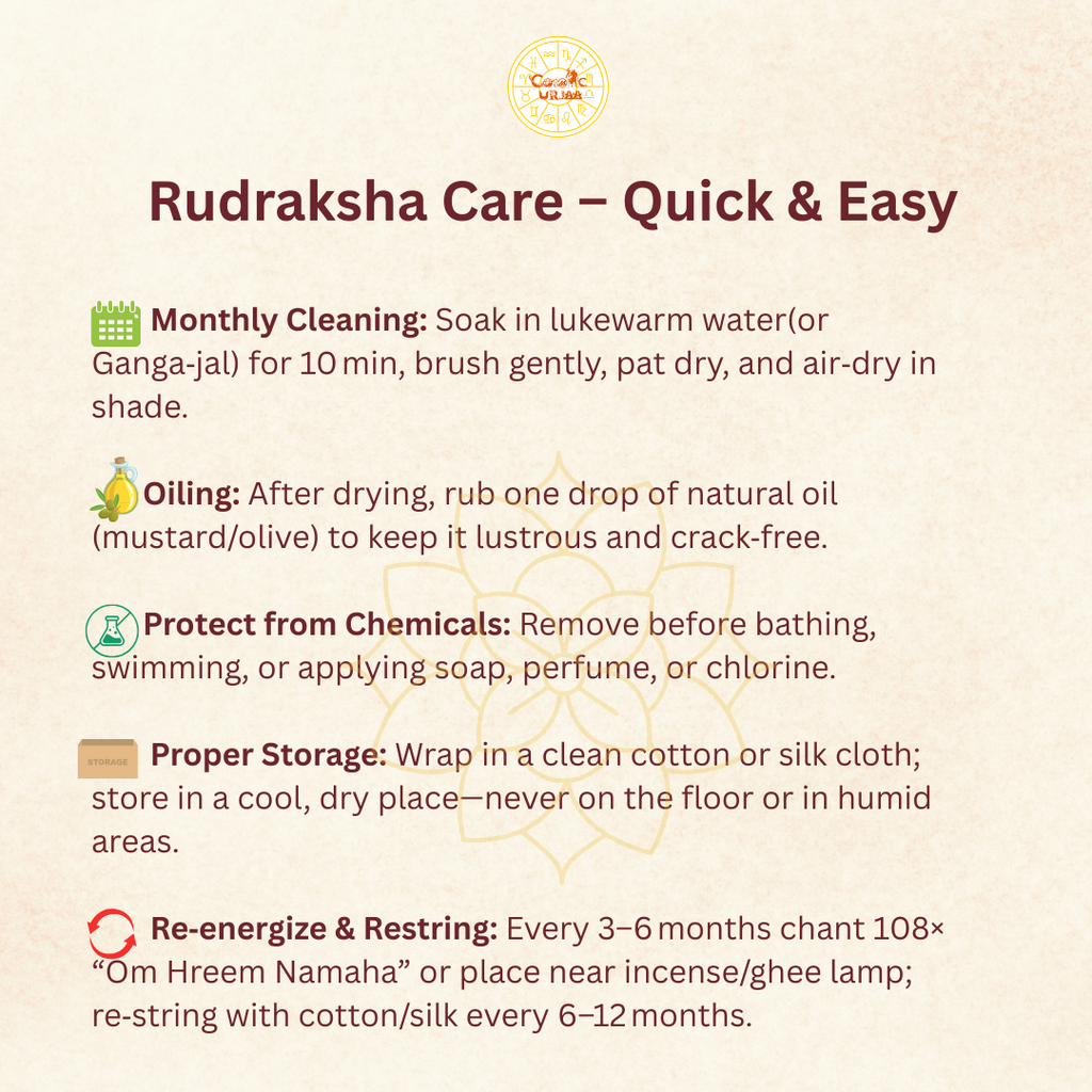 Rudraksha Care Guide