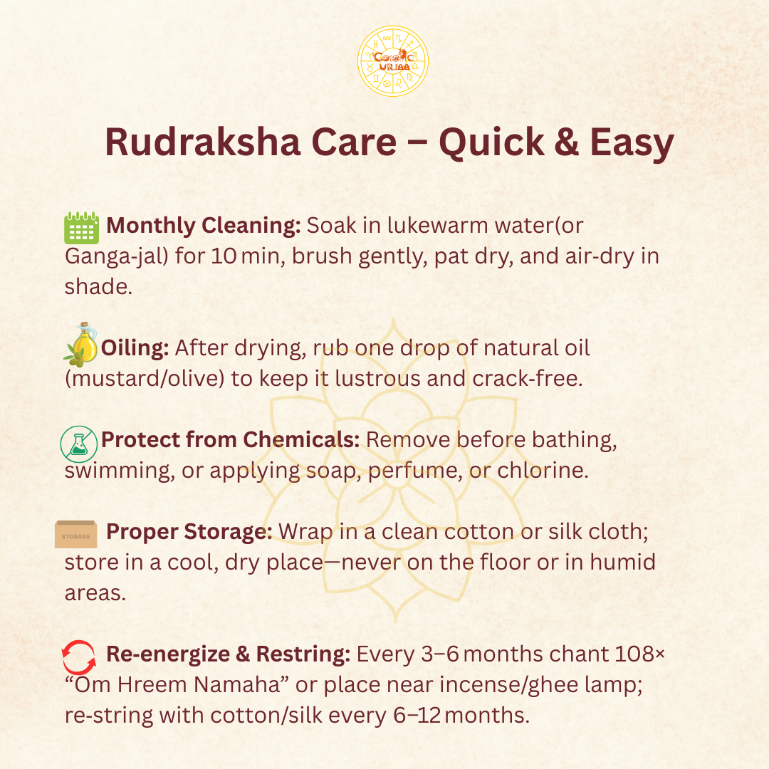 Rudraksha Care Guide
