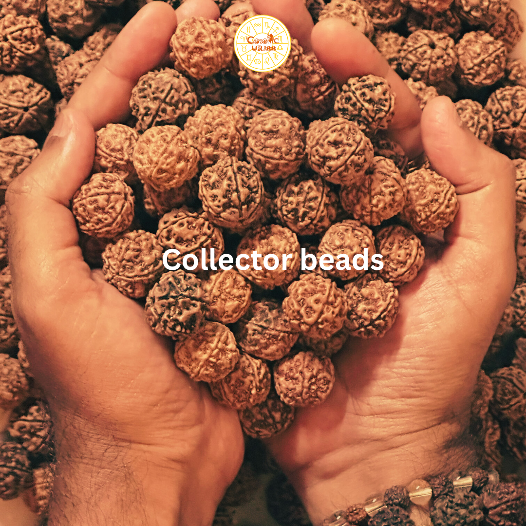 Rudraksha Collector Beads