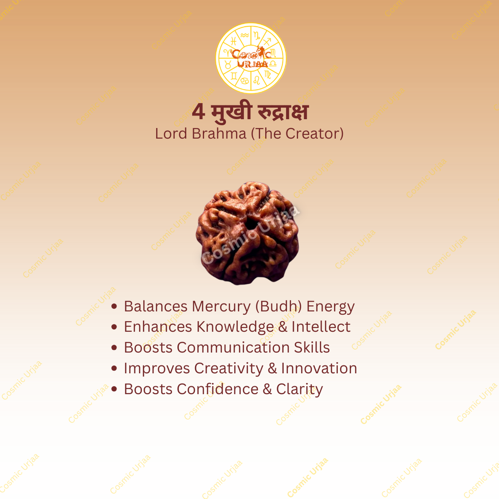 4 Mukhi Rduraksha