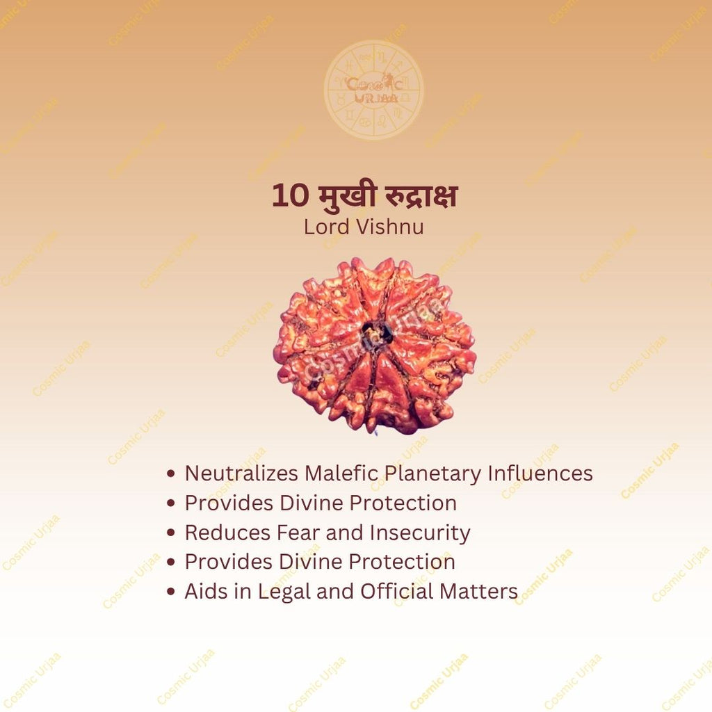 10 Mukhi Rduraksha