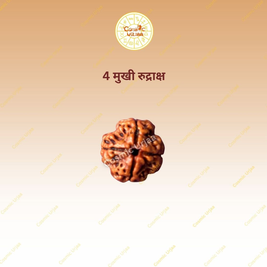 4 Mukhi Rduraksha