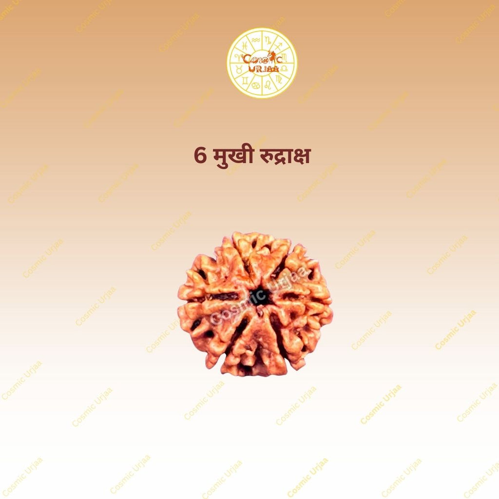 6 Mukhi Rduraksha