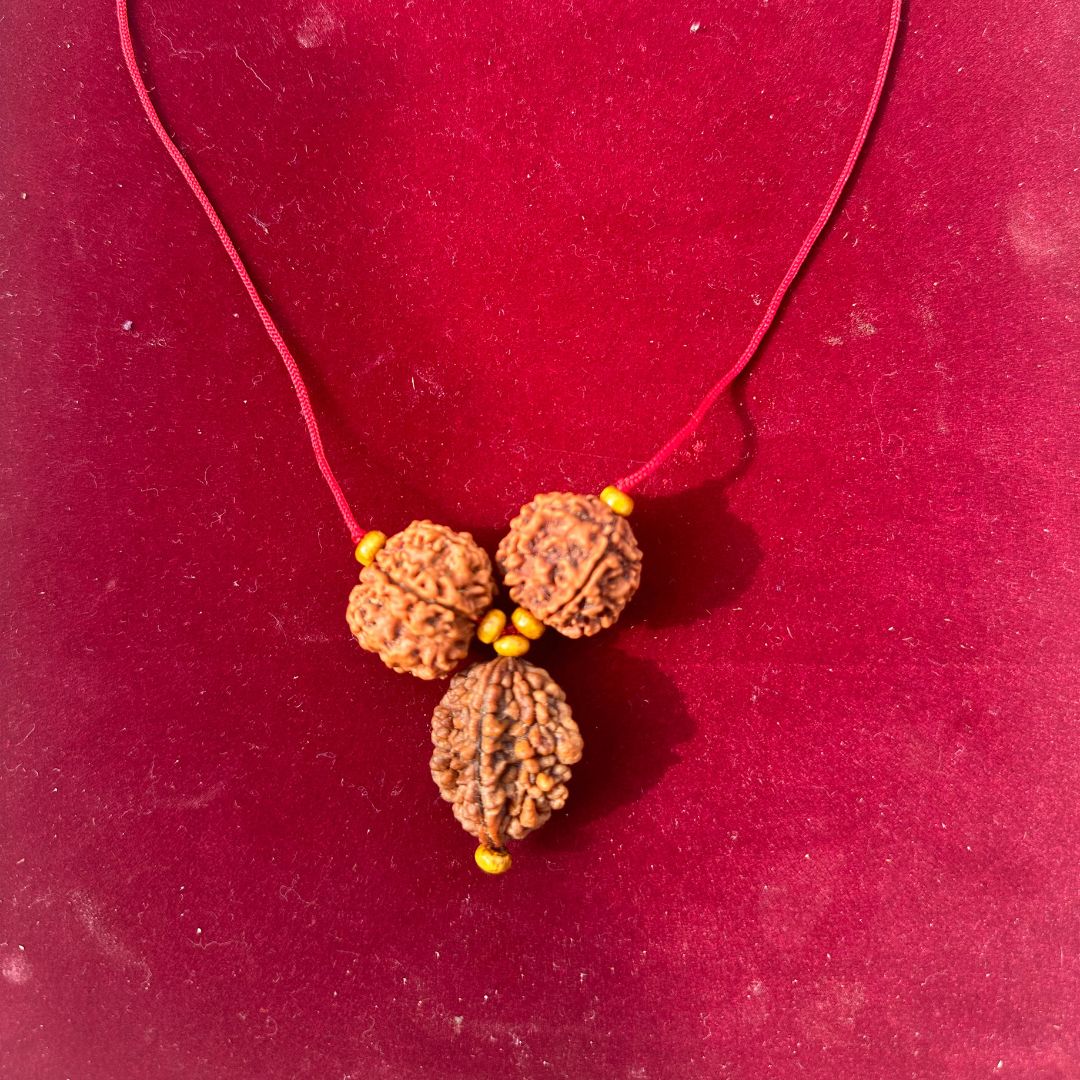 Authentic Gaj Kesari Mala | 2 Mukhi & 5 Mukhi Rudraksha Pendant