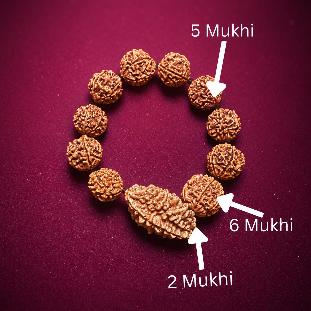 Nari Shakti Bracelet - 6 Mukhi - 2 Mukhi Rudraksha